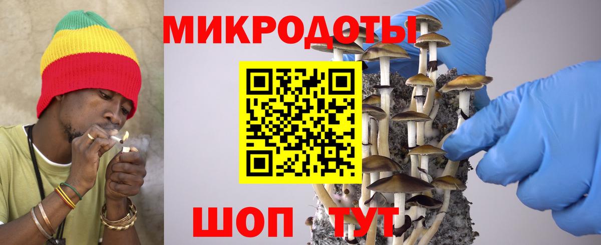 Галлюциногенные грибы Psilocybine cubensis  наркота  Рязань  Вход с VPN 