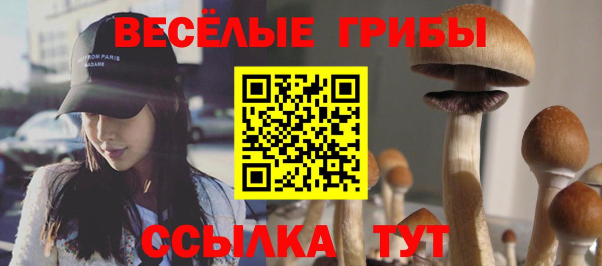 Галлюциногенные грибы Cubensis Рязань